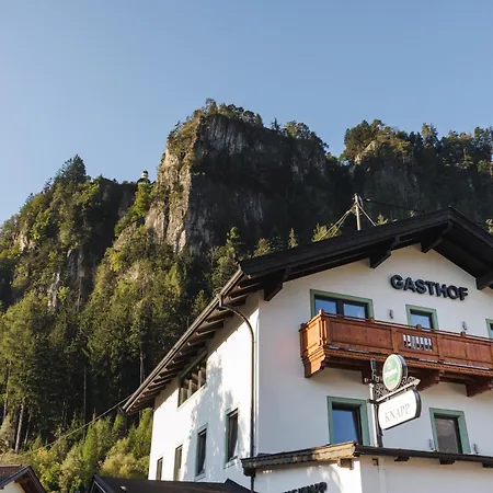 Gasthof Pension Knapp 3* Strass im Zillertal